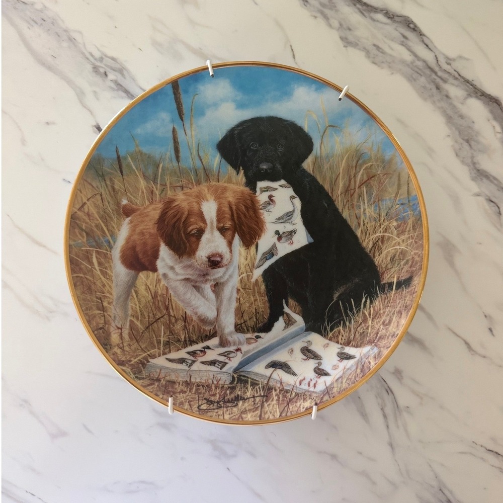 Franklin Mint Quick Study Puppy Dog Collector Plate Jim‎ Lamb Limited Edition 8"